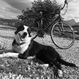 bidatzgasta's profile picture. 