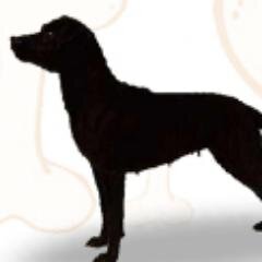 blacktevents's profile picture. Small non-profit group, organising events for @HelpforHeroes & East Mids Air Ambulance. Next event 22nd March 2014. Can you help? laura@blackterrierevents.co.uk