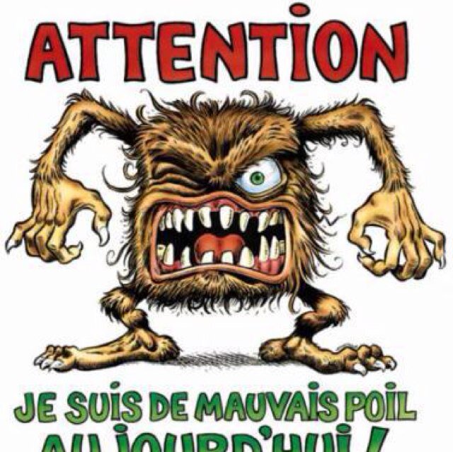C'est vrai je suis de mauvais poil. Je rigole