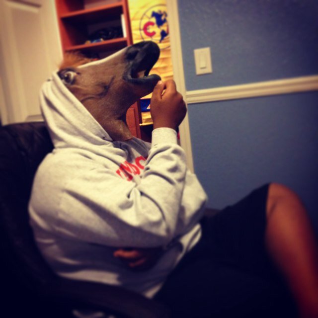 Horsey_horse's profile picture. Im a horse  follow me  and on instagram and vine