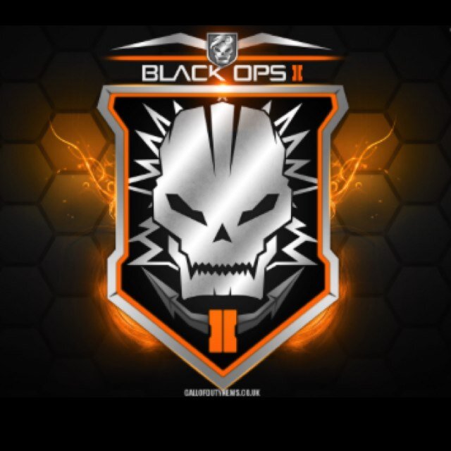 cod2bros's profile picture. We try to make this game the best so if u could tweet me your xbox live name we can try to start an awesome gamingteam!!!!