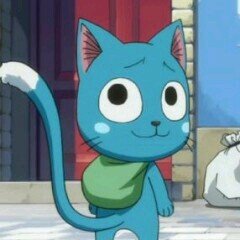 Aye Sir! I'm Natsu' s best friend and a member of FT! Lucy is annoying and heavy but I think she looooves him~ #FTRP