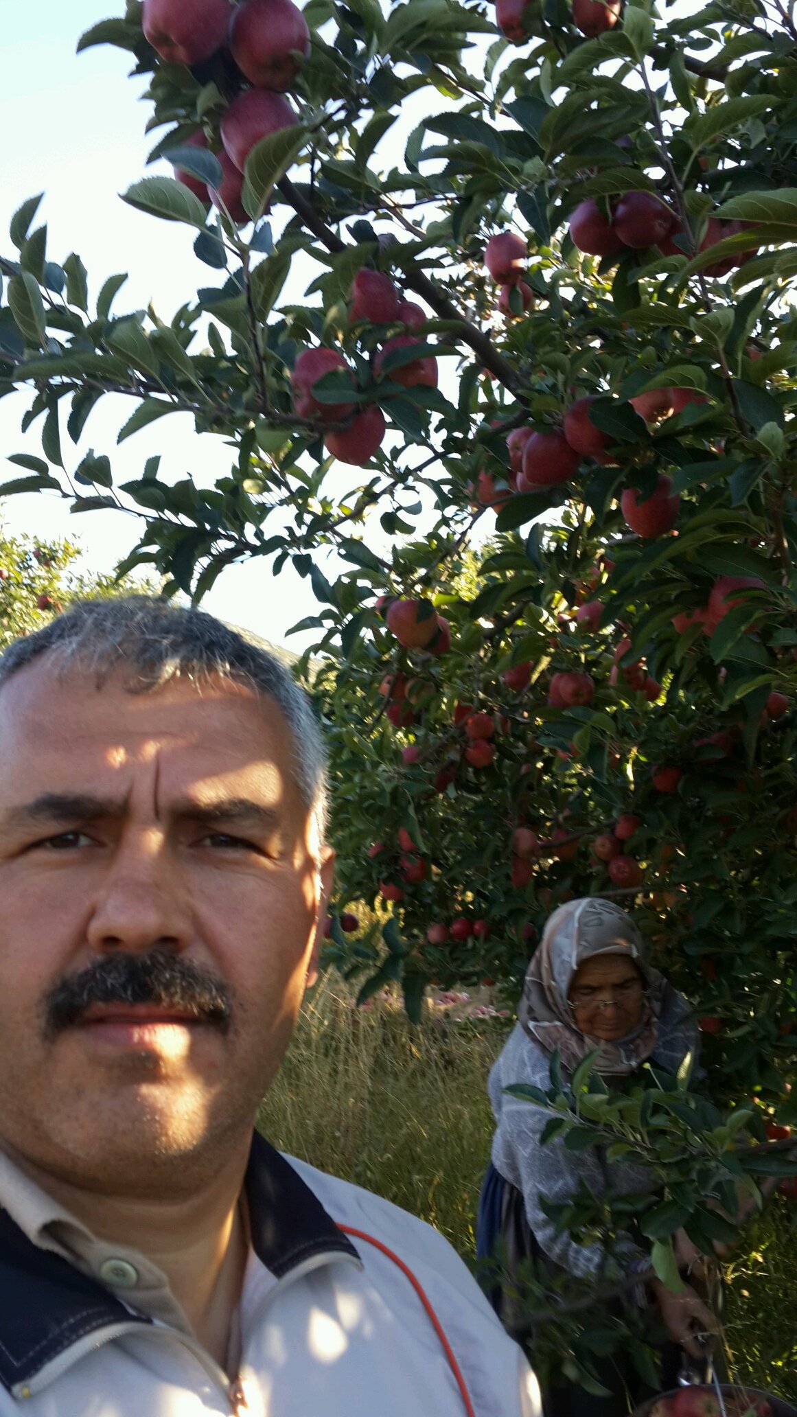 KaghanTurk's profile picture. 