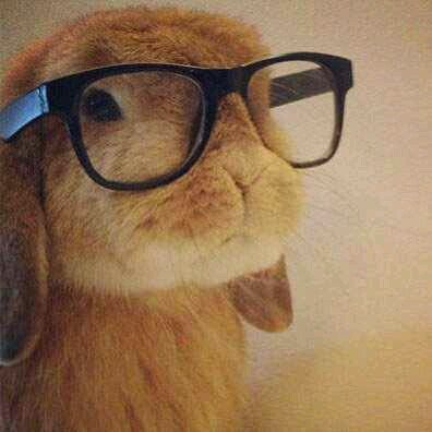 Stephanie__LOL's profile picture. Pardon my sarcasm.