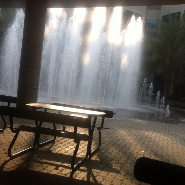 anory20's profile picture. جـامـعـة الـكـويـت