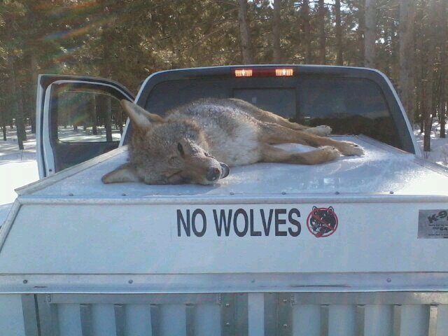 Family, Huntin,Fishin!!! Love living in Wisconsin & The Badgers