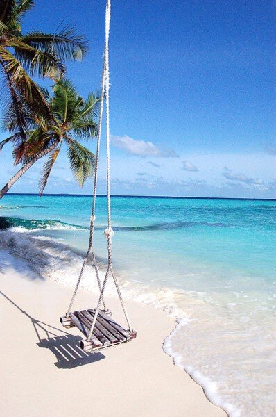 Summer is my l i f e & I follow b a c k