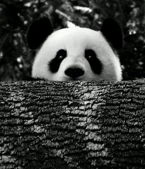 sasa_no0731's profile picture. どこかで。いるかもです。