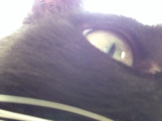 2cool4youtube's profile picture. FREE FOLLOW