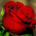 نسرين الشُمراني (@05Aroro35) Twitter