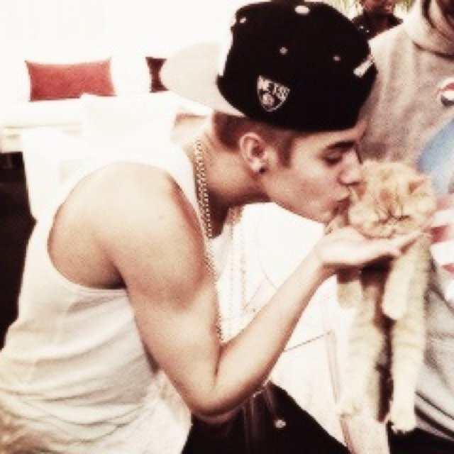 JustinDBieberWE's profile picture. i really like kittens