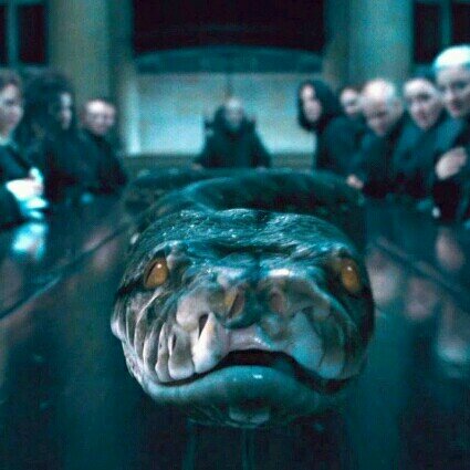 Servidora del Señor Oscuro, aun que muy cabreada con el. #DramaNagimort Me encanta asustar a los alumnos de @Hogwartssite.#FamiliaRebujito #Pottertty