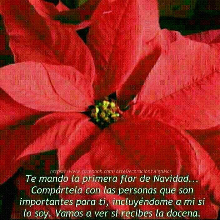Mmmm,soy un xavo famosp x ser como soi