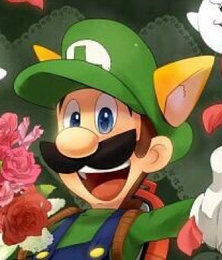 I am Luigi! Number one! I love my big bro! I will do anything to help him! | RP | Nintendo | Multiverse | Mario and Luigi Dream Team
