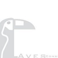 Aves y Conservación (@ayc_birdlife) 's Twitter Profile