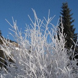Hiking, biking, skiing, and more . Love my husband. Love my kids. Love my dog and more.