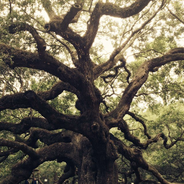 HughDoTHatPapaw's profile picture. 