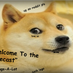 Dogecast (@dogecast) Twitter profile photo Dogecast (@dogecast) Twitter profile photo