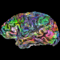 Jack Gallant (@gallantlab) Twitter profile photo