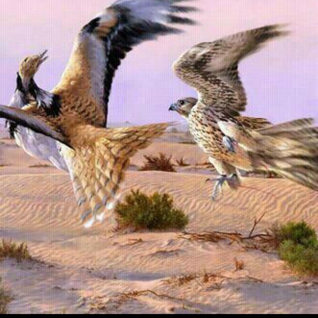 2014Hnm's profile picture. 