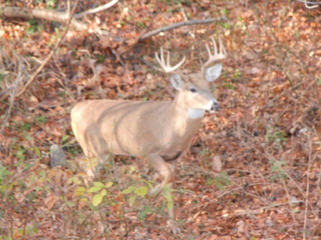 follow new account @gambleoutdoors