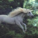 Adela Campos - @Aleda2508 - Twitter