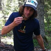 Pat (@thepvelt) 's Twitter Profile