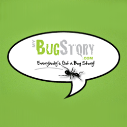 A global digital storytelling community to share experiences with insects. Why? Because bugs are everywhere and everybody's got a bug story! What's yours?