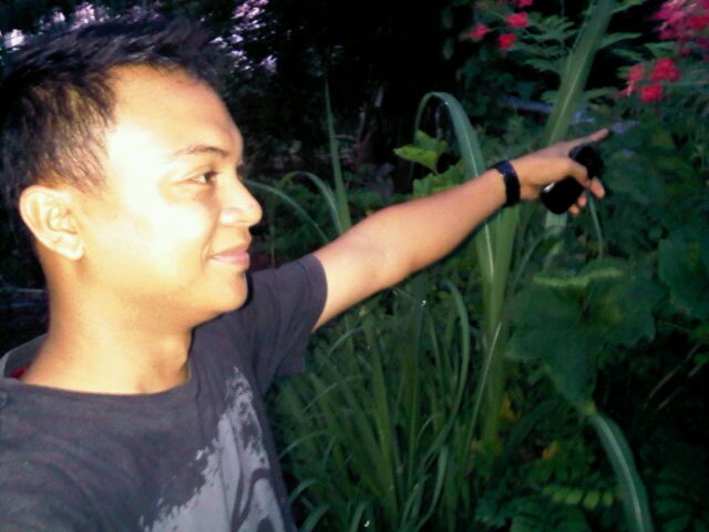 MartinAntry's profile picture. 