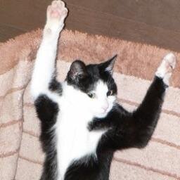 chacha15th's profile picture. 