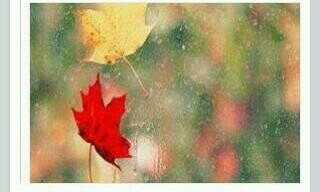 ..Allah bes, gayri heves..