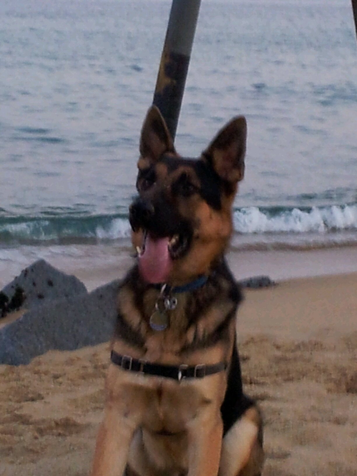 jimenezmoralcjf's profile picture. Cerrajero de Badalona, amante de los animales.