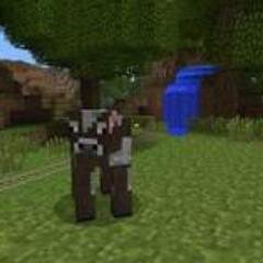 Hi guys minecome here
