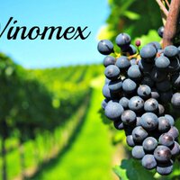 Vinomex (@vino_mex) 's Twitter Profile