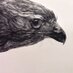 David Hunt (@davidhuntart) Twitter profile photo David Hunt (@davidhuntart) Twitter profile photo
