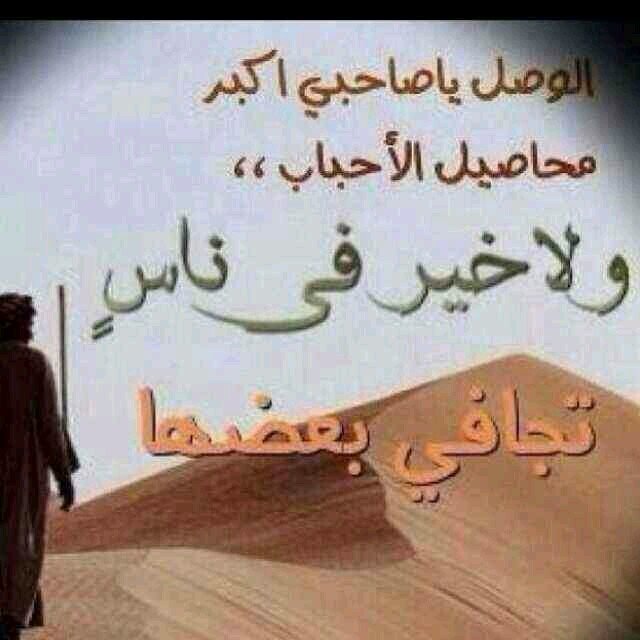 mahdimadi919's profile picture. 