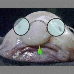 *blub* ik ben een blobvis