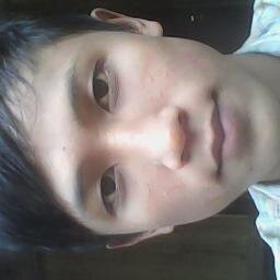 penggemar arema