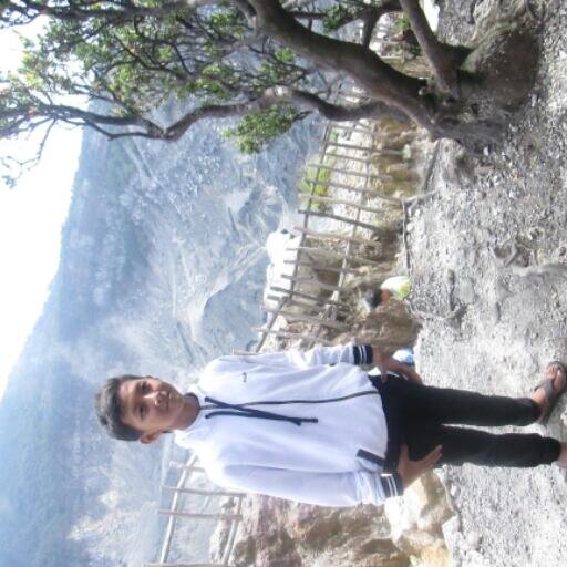 codet