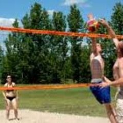 VixensVball's profile picture. 