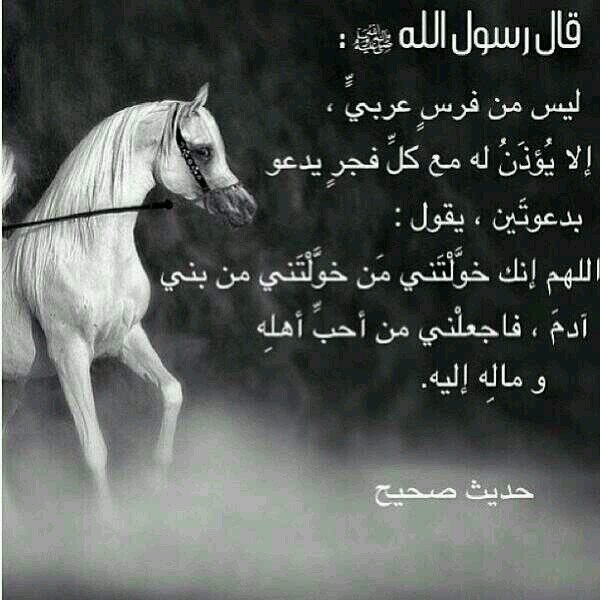 اللهم أني أسألك خير مافي هذا اليوم وخير مابعده وأعوذ بك من شر مافي هذا اليوم وشر مابعده