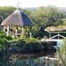 tanglewoodwildgarden (@tanglewoodwild) Twitter profile photo