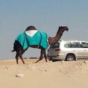 سهيل (@0504230011) Twitter