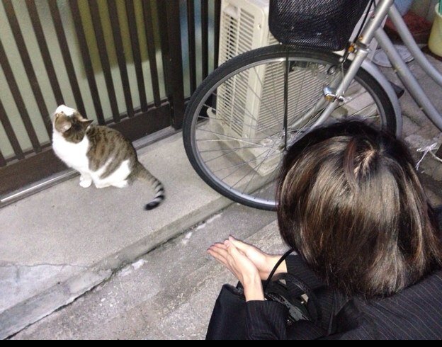 てきとうにつぶやきます