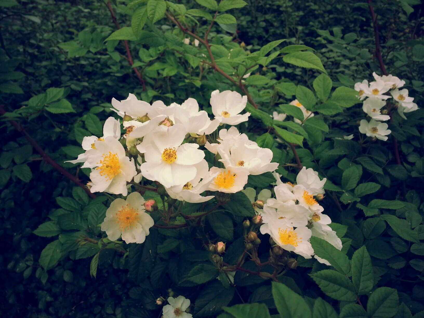 삶의 무게를 지고. . .