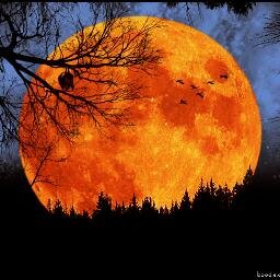 خیال، خلوص، محبت ،وفا ، رواداری سے گندھی ہم لڑکیاں ۔۔۔۔۔۔۔۔۔۔۔۔۔۔