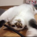 細野 正真 (@0228_hito) Twitter