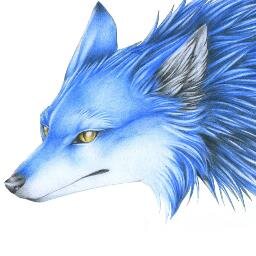 Bluefox782's profile picture. 🏠 Restons chez nous 🏠