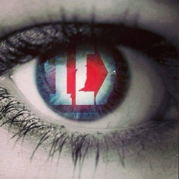 INFORMACION PARA LAS DIRECTIONER