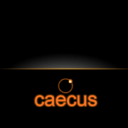Caecus is a project about loss of certain senses being carried out by third year creative media students in Dundalk Institute of Technology.